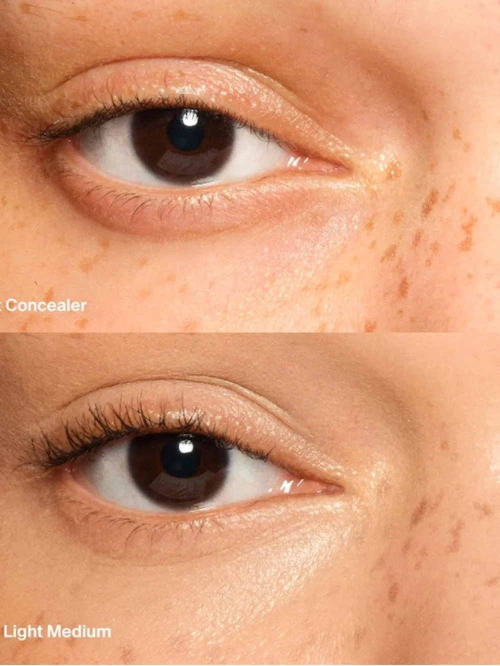 Haus Labs Hydrating + De-puffing Concealer 23 light medium golden NIB